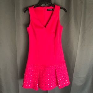 Ivanka Trump Pink Dress